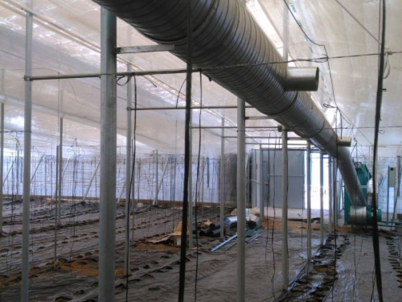 Interior de invernadero con tubos grandes de calor en zona superior